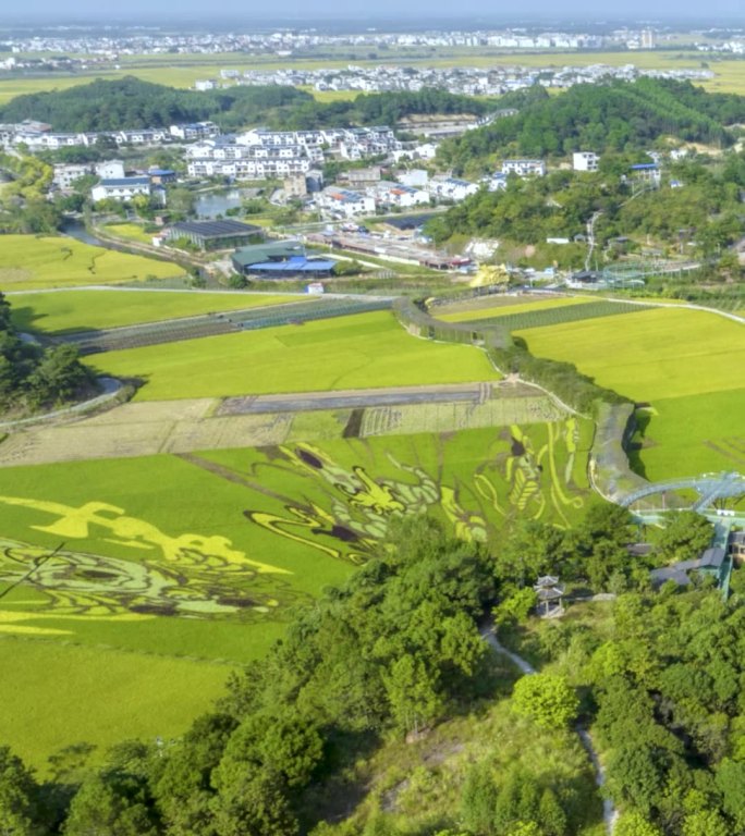 高清竖屏延时航拍宾阳古辣艺术稻田蓝天