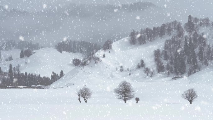 雪景69