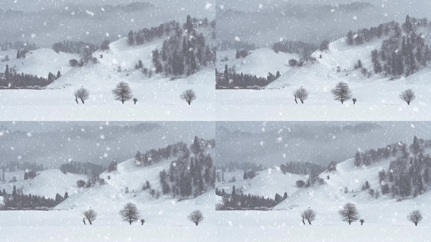 雪景69