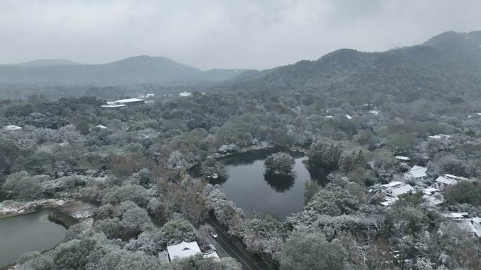 西湖茅家埠雪景