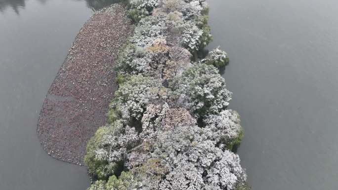 西湖断桥雪