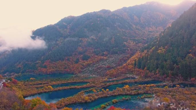 清晨航拍九寨沟树正群海