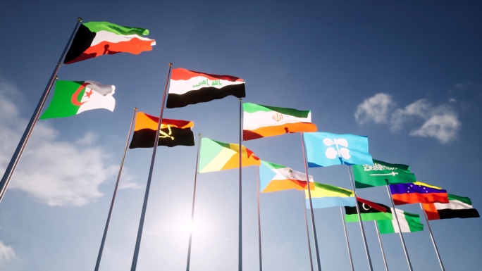 石油输出国组织OPEC成员各国国旗