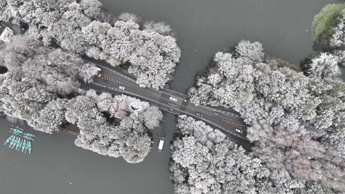 西湖雪景航拍