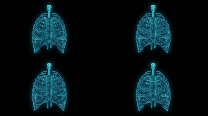 蓝色全息线框肺呼吸动画 【带通道】
