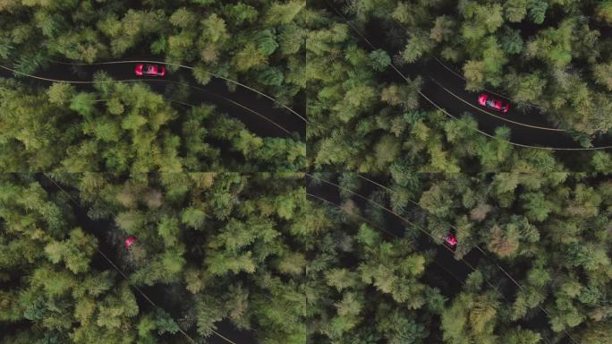 原始森林汽车跟拍 汽车航拍 红色轿车航拍
