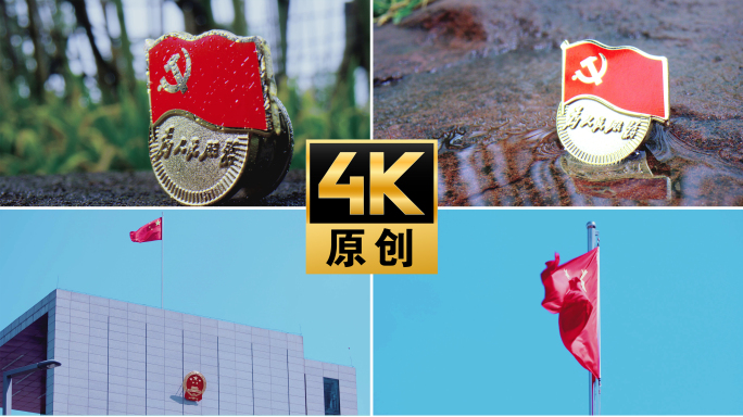 【4K】国旗飘扬庄严党徽国徽国旗