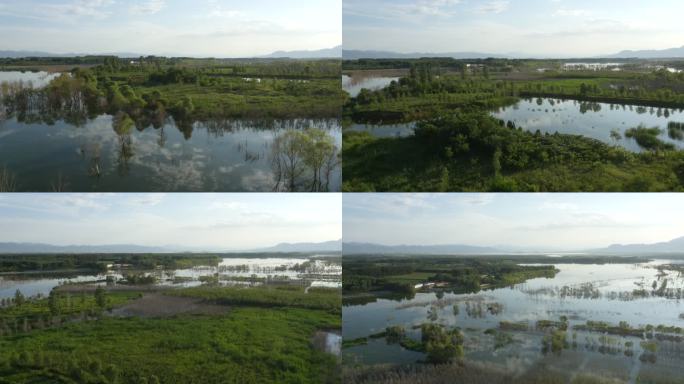 延庆蔡家河湿地