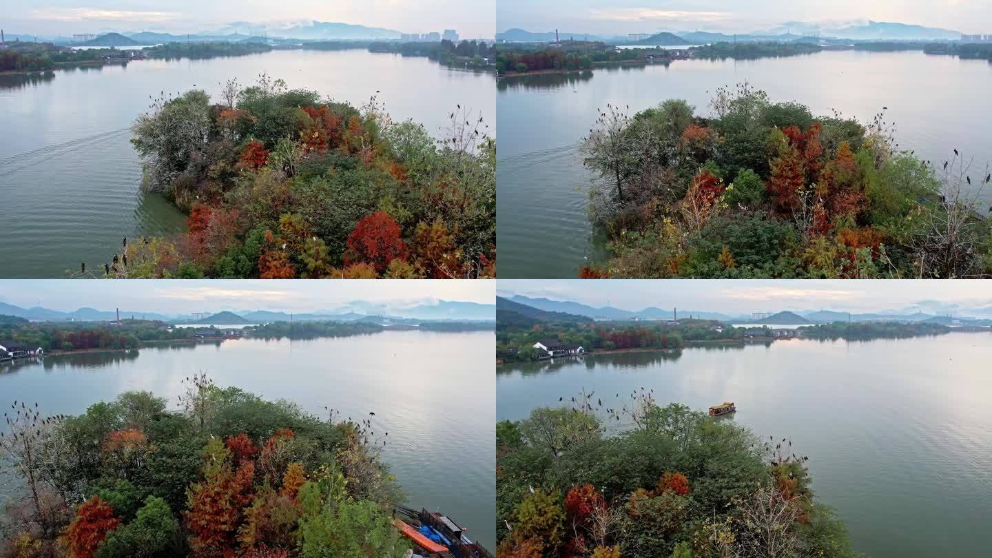 航拍杭州湘湖 湖中小岛和飞鸟