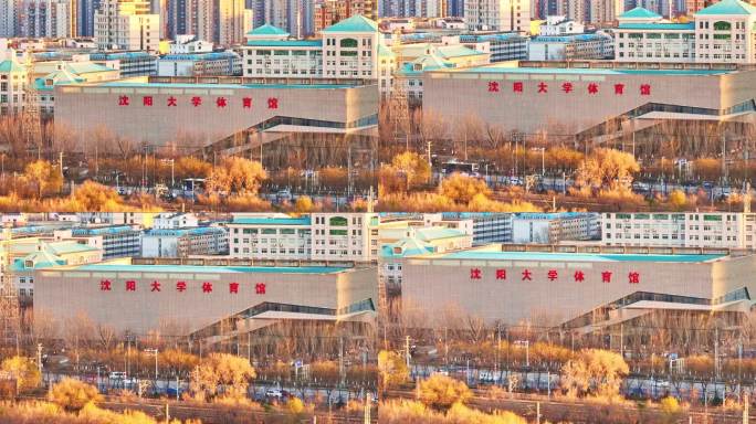 沈阳大学体育馆航拍