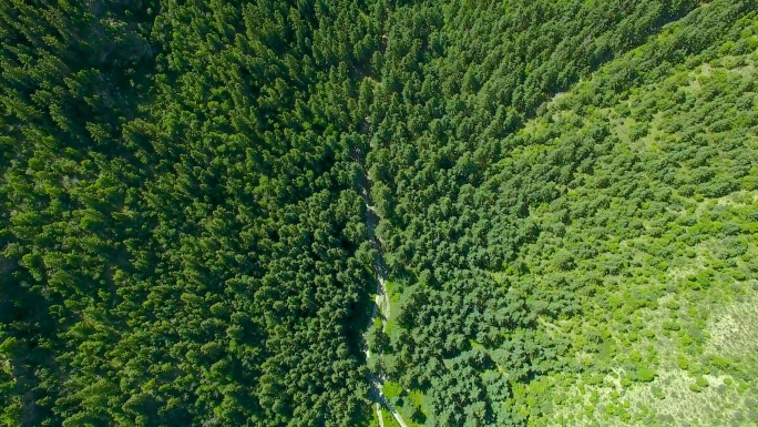 航拍贺兰山原始森林商用素材