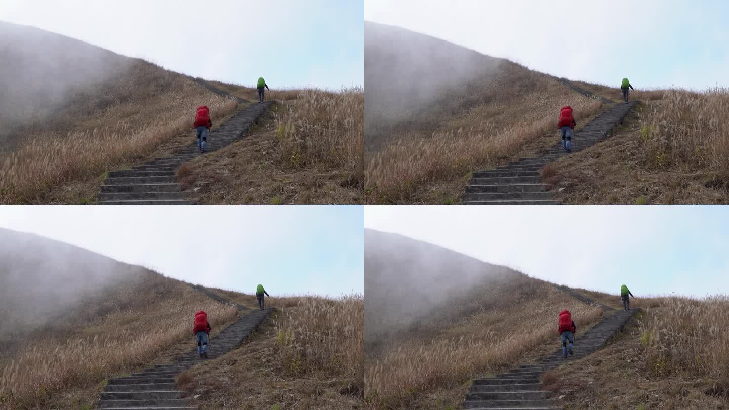 徒步 登山 探险 户外 草甸 武功山