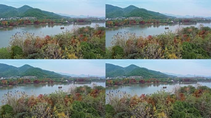 航拍杭州湘湖 湖中小岛和飞鸟