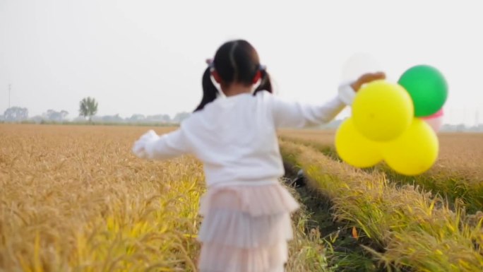 女孩气球稻田里奔跑