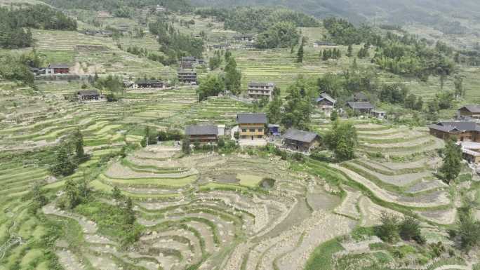 湖南娄底紫鹊界梯田村庄民居4K航拍