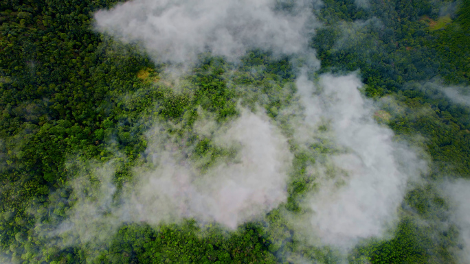 森林云海日出曙光深山流水丁达尔光