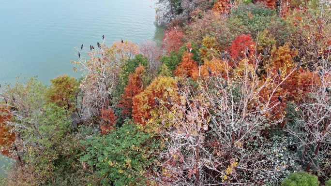 航拍杭州湘湖 湖心小岛