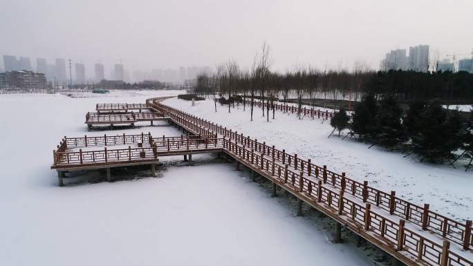 沈北雪景