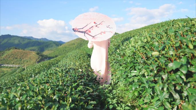 古装女子逛茶山