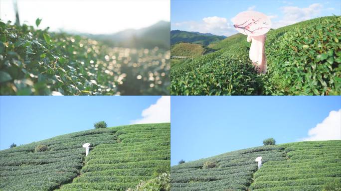 古装女子逛茶山