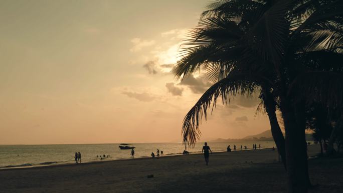 日落时有海滩的椰子树