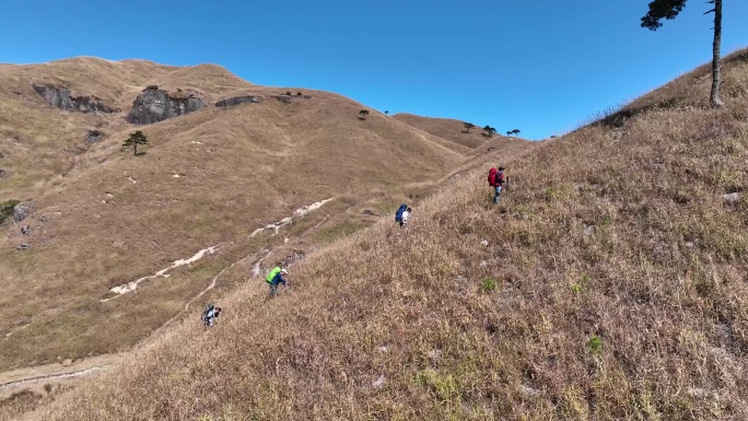 徒步 登山 探险 户外 草甸 武功山