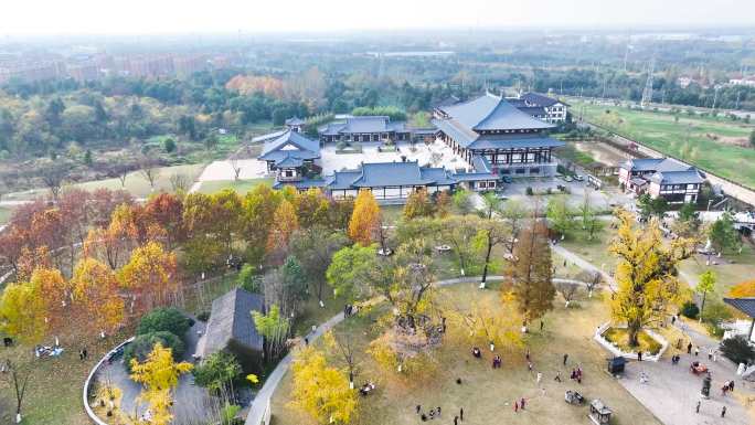 【5分钟】南京浦口区古普济寺银杏