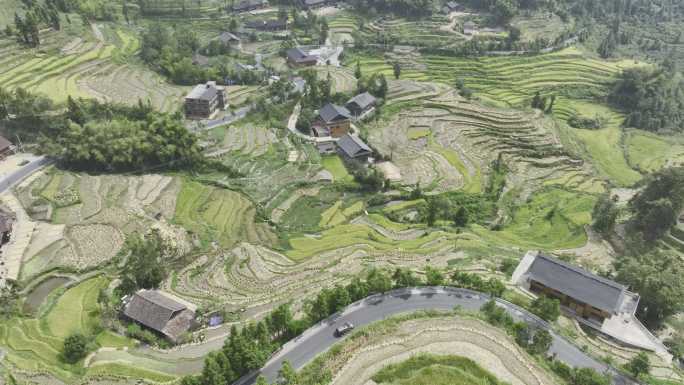 湖南娄底紫鹊界梯田村庄民居4K航拍