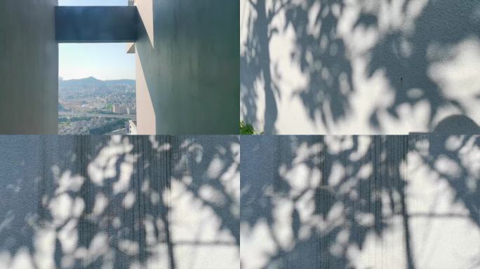 光影树影建筑结构空镜视频素材