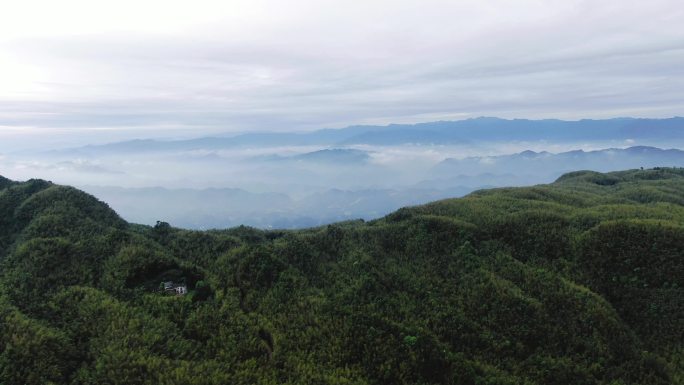 四川蜀南竹海云海  盆地