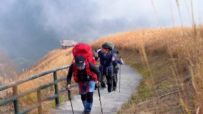 徒步 登山 探险 户外 草甸 武功山