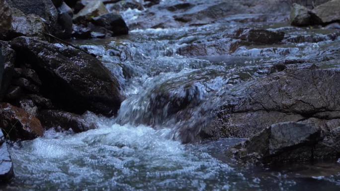 山泉溪流河水溪流山泉水石缝水(慢镜头）