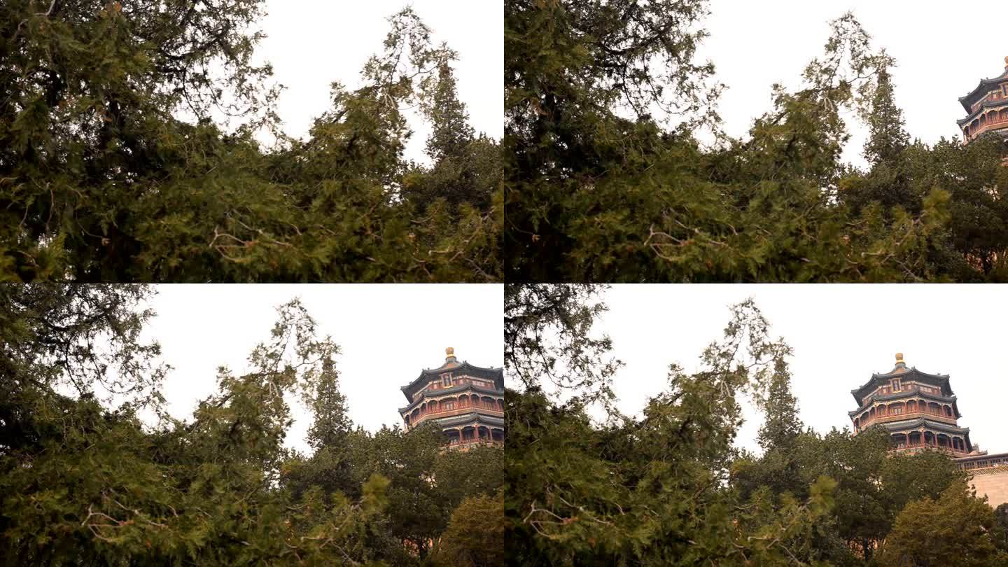 平移：北京颐和园中国风格的塔