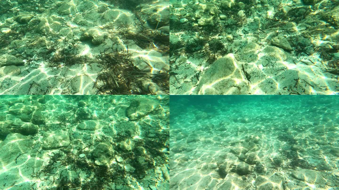 水下生活。热带海洋中的珊瑚礁和海星