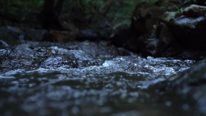 山泉溪流河水溪流山泉水石缝水(慢镜头）