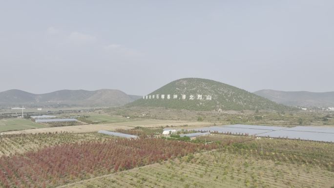 安徽淮北中国软籽石榴基地4K航拍