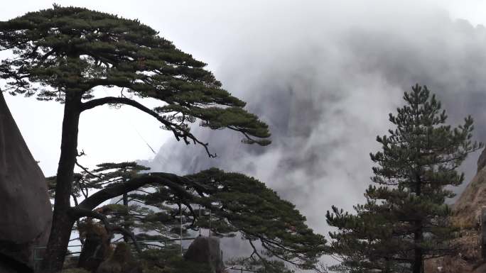 安徽黄山迎客松