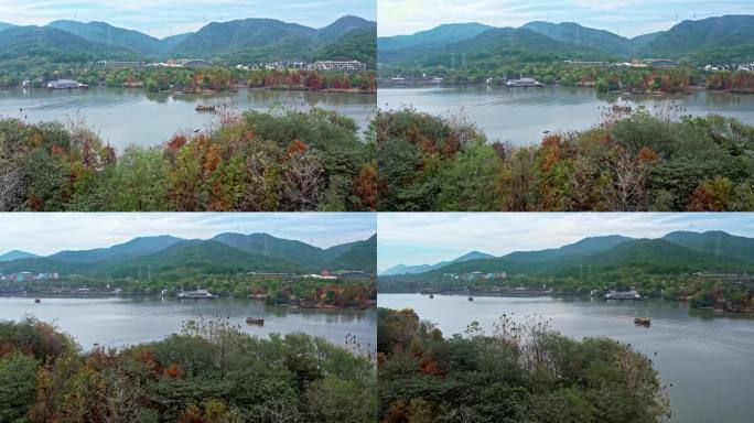 航拍杭州湘湖 湖中小岛和飞鸟