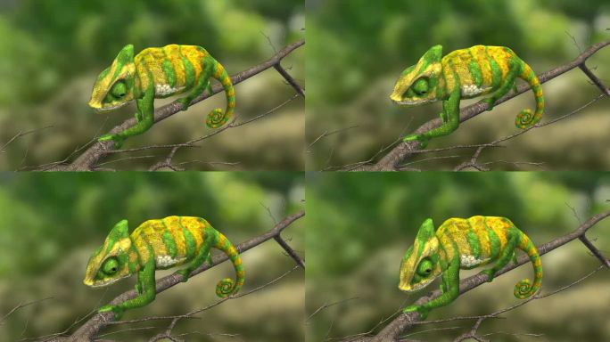 爬行动物 变色龙 变色 捕食动物三维动画