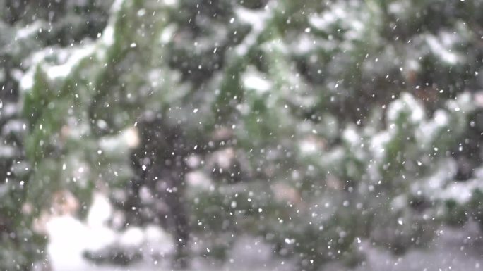 下雪升格拍摄雪花慢镜头
