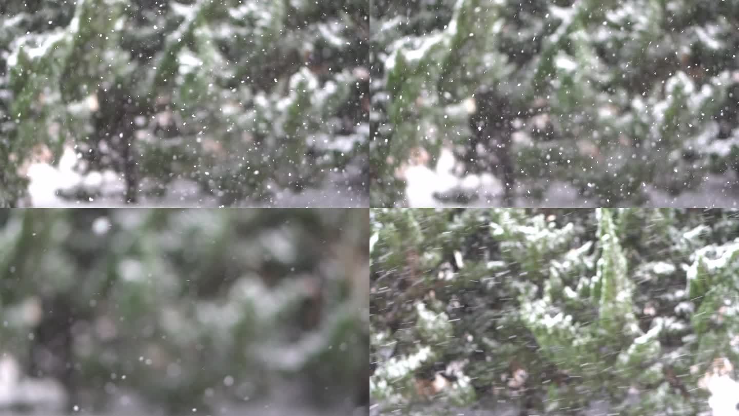 下雪升格拍摄雪花慢镜头