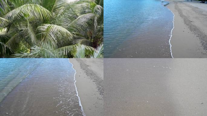 海南酒店椰子树 椰风海韵