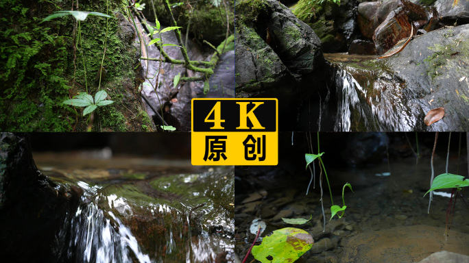 纯天然水 自然泉水 大山里的水