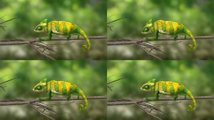 爬行动物 高冠 变色龙 蜥蜴 3D 动物