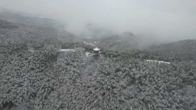 4K航拍冬季下雪云雾竹林