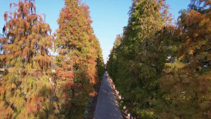 韶关 南岭红沙漠景区 红沙漠 韶光红沙漠