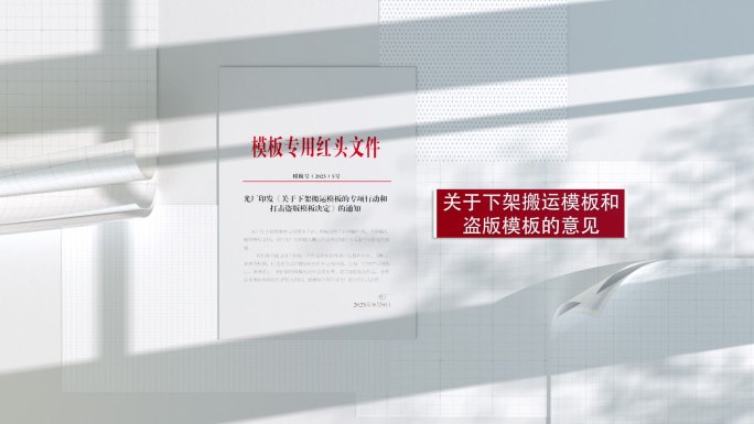 写实红头文件证书展示
