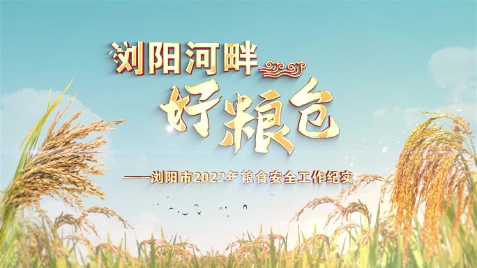 粮食安全片头ae