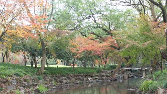 杭州秋景九溪红叶小溪