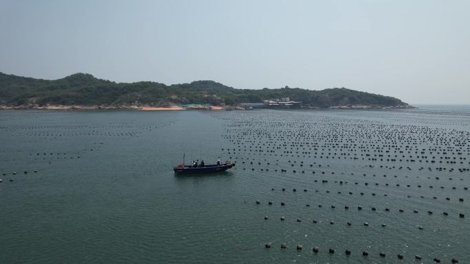 汕尾贝壳岛 江杜岛